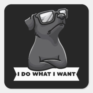 Sticker Carré Patterdale terrier Je fais ce que je veux chien t
