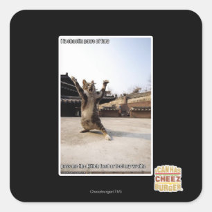 Sticker Carré Pattes de shaolin de l'iz I de fureur