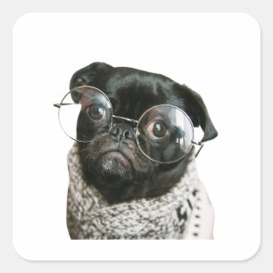 Sticker Carré Pawsitively Hilarious: Doggone Funny Moments