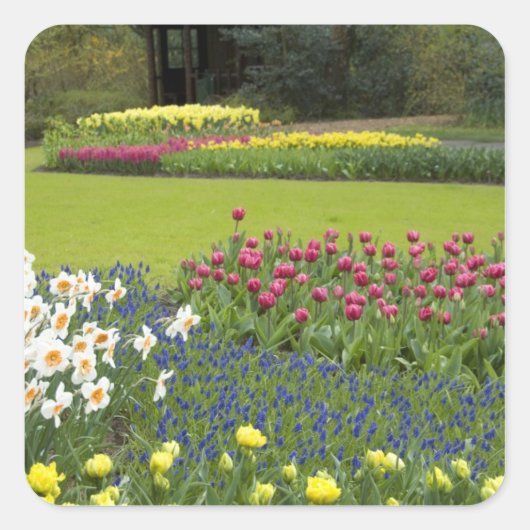 Sticker Carré Pays-Bas alias Holland), Lisse. Keukenhof 5 (Devant)