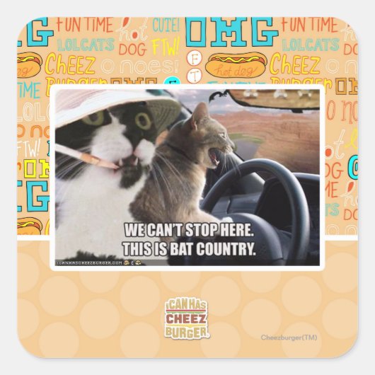 Sticker Carré Pays chauve (Devant)