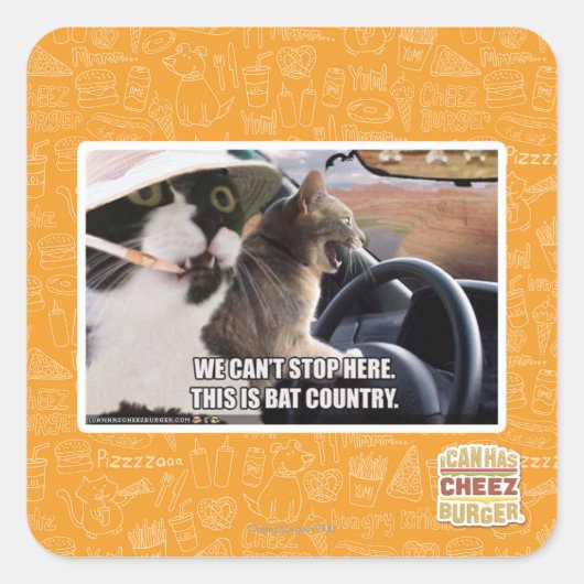 Sticker Carré Pays chauve (Devant)