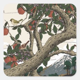 Sticker Carré Paysage d'arbres fruitiers