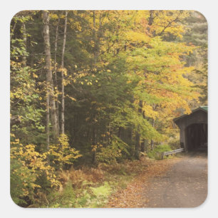 Sticker Carré paysage d'automne, Vermont, États-Unis 4