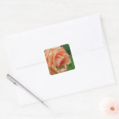 Sticker Carré Peach Roses pétales Merci à fleurs (Enveloppe)