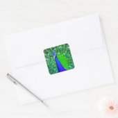 Sticker Carré Peacock avec queue foulée (Enveloppe)