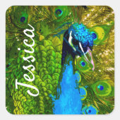 Sticker Carré Peacock Vibrant + Nom Bleu Bleu Bleu Plumes Vert (Devant)