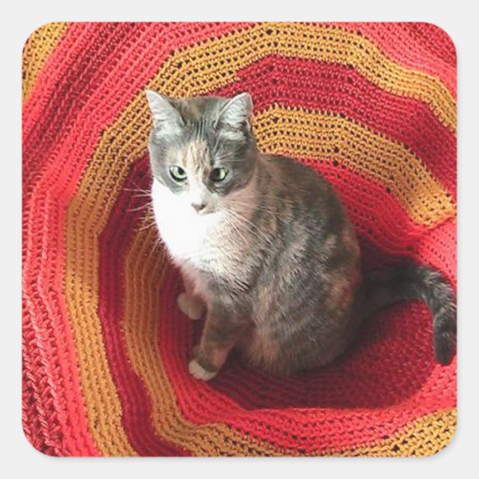 Sticker Carré Pearl Cat sur l'Afghanistan (Devant)