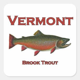 Sticker Carré Pêche du Vermont - Truite de ruisseau