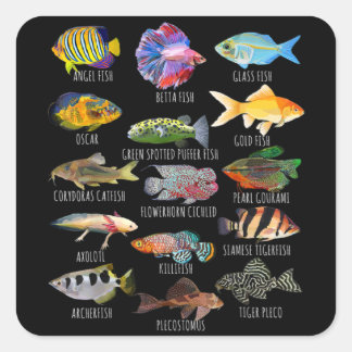Sticker Carré Pêche Espèces De Poissons Biologie Types D'Aquariu