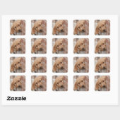 Sticker Carré Peecing de Goldendoodle (Feuille)