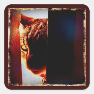 Sticker Carré Peek-a-boo Indigo