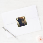Sticker Carré Peinture de bison (Enveloppe)