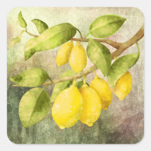 Sticker Carré Peinture de citrons