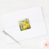 Sticker Carré Peinture de citrons (Enveloppe)