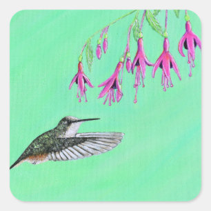 Sticker Carré Peinture de colibri et Fuchsia
