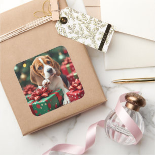 Sticker Carré Peinture de Noël : un Beagle emballant des cadeaux