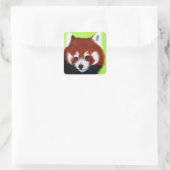 Sticker Carré Peinture de panda rouge (Sac)