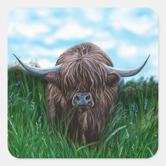Sticker Carré Peinture écossaise de la vache des Highlands (Devant)