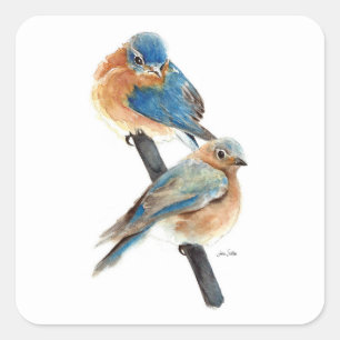 Sticker Carré Peinture en couple Bluebird