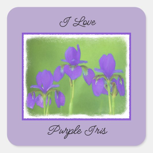 Sticker Carré Peinture Iris Violet - Art Fleur Originale (Devant)