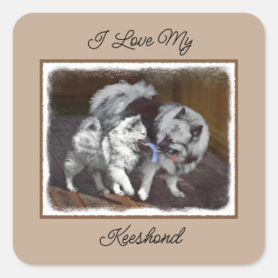Sticker Carré Peinture Keeshond Playtime - Jolie art original ch