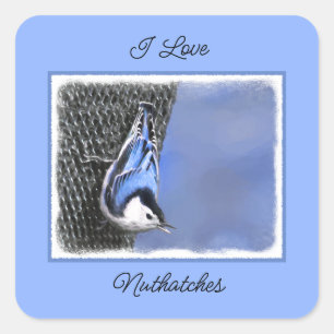 Sticker Carré Peinture Nuthatch à poitrine blanche Art original
