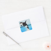 Sticker Carré Peinture Orca (Enveloppe)
