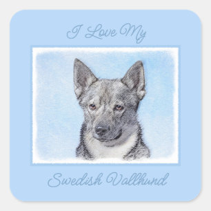 Sticker Carré Peinture Suédoise Vallhund - Cute Original Chien A