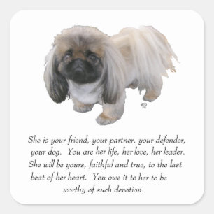 Sticker Carré Pekingese Keepsaké - Femme