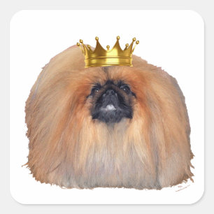 Sticker Carré Pekingese King (Customisez si vous le souhaitez !)