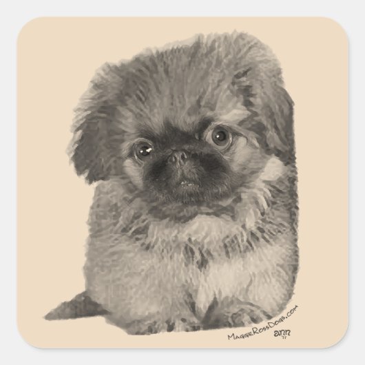 Sticker Carré Pekingese Puppy (Devant)