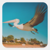 Sticker Carré Pélican (Devant)