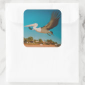 Sticker Carré Pélican (Sac)