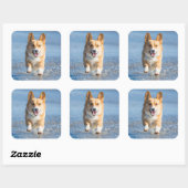 Sticker Carré Pembroke Welsh (Feuille)