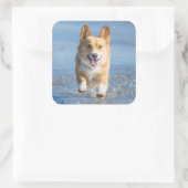 Sticker Carré Pembroke Welsh (Sac)