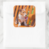 Sticker Carré Pembroke Welsh (Sac)