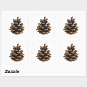 Sticker Carré Pénecone unique (Feuille)
