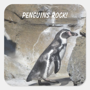 Sticker Carré Penguin cool