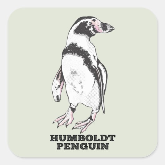 Sticker Carré Penguin de Humboldt (Devant)