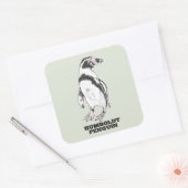 Sticker Carré Penguin de Humboldt (Enveloppe)