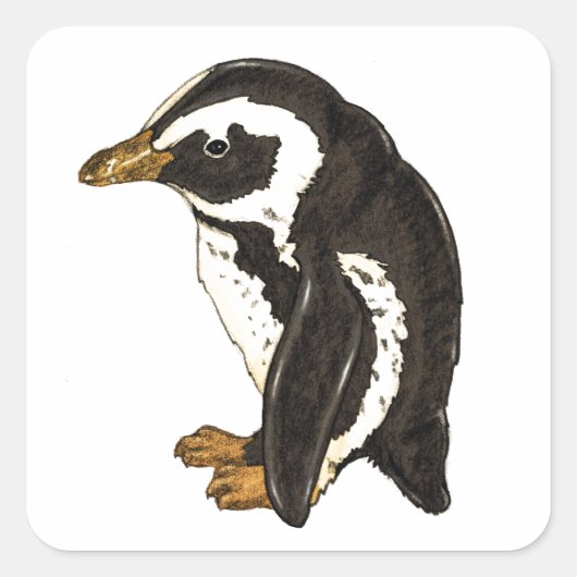 Sticker Carré Penguin par Liesel Bendio Potter (Devant)