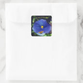 Sticker Carré Pensée bleue viola (Sac)