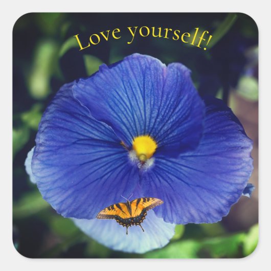 Sticker Carré Pensée bleue viola (Devant)