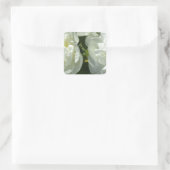 Sticker Carré Peonies blanches (Sac)