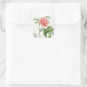 Sticker Carré Peony, 1799 (Sac)