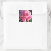 Sticker Carré Peony rose (Sac)