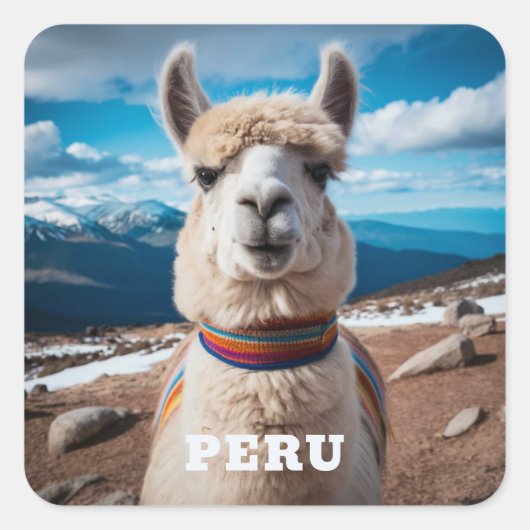 Sticker Carré Pérou Llama (Devant)