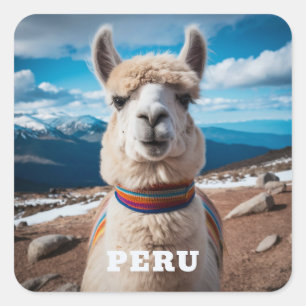 Sticker Carré Pérou Llama