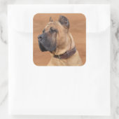 Sticker Carré Perro de Presa Canario - Dogo Canario (Sac)